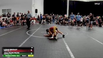 84 lbs Placement (4 Team) - Cole Palma Palma, Ohio Gold vs Logan Brickley, Rebellion