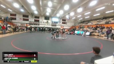 170 lbs Semifinal - Ashton Hubbs, Cody vs Hali Witt, Rock Springs