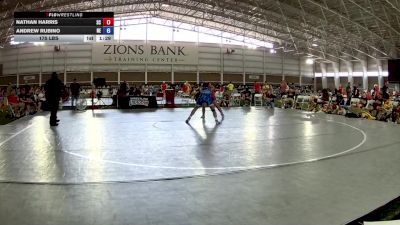 175 lbs Nathan Harris, South Carolina vs Andrew Rubino, Nebraska