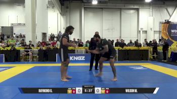 WILSON M. vs RAYMOND G. 2025 World IBJJF Jiu-Jitsu No-Gi Championship