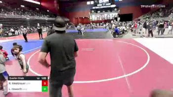 49 lbs Quarterfinal - Rosin Weeldreyer, LSRV Mat Rats vs Liam Howarth, Colorado Regulators