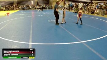 45 lbs Quarterfinals (8 Team) - Liam Mathiowetz, Wabasso vs Griffin Gertken, Sartell