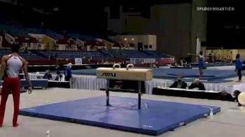 Carter Hawthorne - Pommel Horse, Denali Gymnastics - 2021 Metroplex Challenge