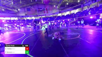 102 lbs Quarterfinal - Gabriel Valdez, Bald Eagle WC vs Peter Schutz, MN Elite