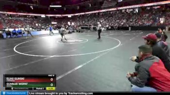 D3-120 lbs 5th Place Match - Elias Glinski, Crandon vs Gunnar Wopat, Royall