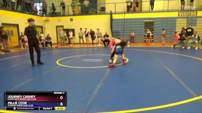 87 lbs Round 3 - Journey Carney, Colby Kids Wrestling Club vs Millie Cook, Cougar Wrestling Club