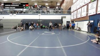 95 lbs Round 3 - Aurora Hernandez, Fighting Squirrels Wrestling Club vs James Vincent, Anderson Performance Institute