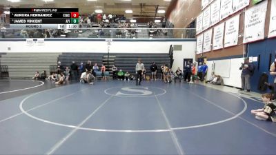 95 lbs Round 3 - Aurora Hernandez, Fighting Squirrels Wrestling Club vs James Vincent, Anderson Performance Institute