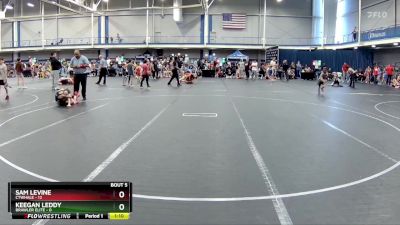 56 lbs Round 3 (4 Team) - Sam Levine, CTWHALE vs Keegan Leddy, Brawler Elite