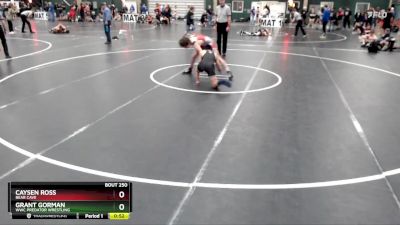 132 lbs Cons. Round 5 - Caysen Ross, Bear Cave vs Grant Gorman, WWC Predator Wrestling