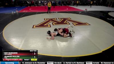 145 lbs Quarterfinal - Koy Buesgens, New Prague vs Gunnar Mullen, Park