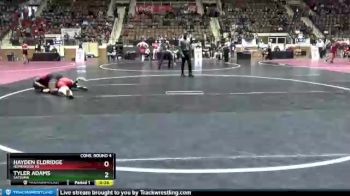 170 lbs Cons. Round 4 - Tyler Adams, Satsuma vs Hayden Eldridge, Homewood Hs