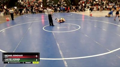 132 lbs Cons. Round 2 - Carter Horner, Loomis Wrestling Club vs Michael Gonzalez, Holly