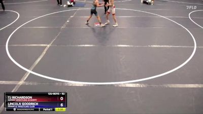 92 lbs Round 2 - Tj Richardson, Summit Wrestling Academy vs Lincoln Goodrich, Pinnacle Wrestling Club