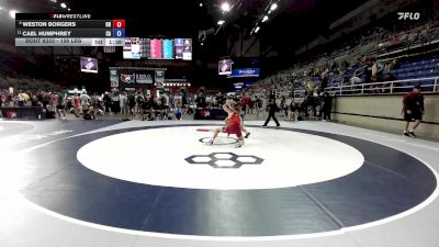 138 lbs Cons. Quarters - Weston Borgers, OH vs Cael Humphrey, CA
