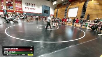 113 lbs Cons. Round 3 - Dominic Sanchez, Big Piney vs Dane Arnoldi, Rock Springs