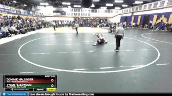 133 lbs Semifinal - Tyler Fleetwood, Wisconsin-Eau Claire vs Dominik Mallinder, Wisconsin-Whitewater