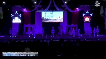 Cheaha Cheer and Tumble - Shadow [2025 L1 Junior - Flex - D2 - Small Day 1] 2025 ASC Battle Under the Big Top Grand Nationals