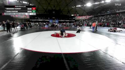 Boys 4A 215 lbs Quarterfinal - Gabe Porter, Woodinville vs Braeden Harvey, Mead