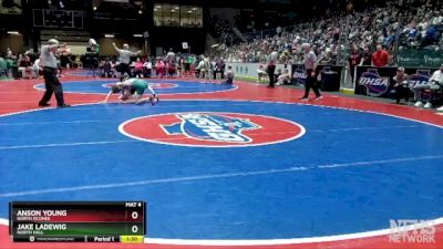 4A-106 lbs Semifinal - Jake Ladewig, North Hall vs ANSON YOUNG, North Oconee