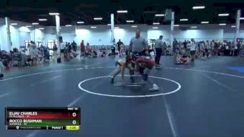 100 lbs Finals (2 Team) - Eliav Charles, PA Alliance vs Rocco Bushman, D3PRIMUS
