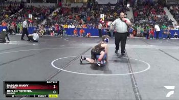 95 lbs Champ. Round 1 - Declan Tiemstra, Andover vs Daegan Hanvy, Jr. Vikings