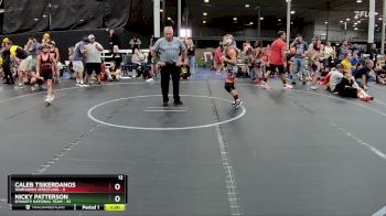 76 lbs Semis (4 Team) - Caleb Tsikerdanos, Warhawks Wrestling vs Nicky Patterson, Dynasty National Team