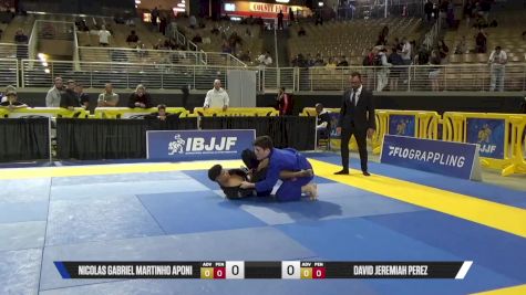 David Jeremiah Perez vs Nicolas Gabriel Martinho Aponi 2025 Pan Jiu Jitsu IBJJF Championship