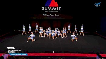 The Stingray Allstars - Shade [2025 L2 Senior - Small Finals] 2025 The Summit