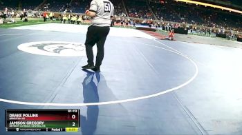 D1-113 lbs 3rd Place Match - Jamison Gregory, Detroit Catholic Central HS vs Drake Pollins, Brighton HS