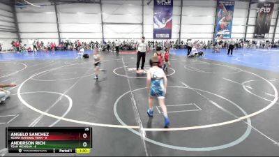 52 lbs Rd# 8- 12:30pm Saturday Final Pool - Anderson Rich, Team Michigan vs Angelo Sanchez, NCWAY National Team