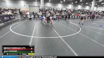 152 lbs Quarterfinal - Bradley Rodriguez-Little, MN vs Kole Katschor, MI