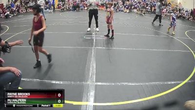 66 lbs Quarterfinal - Payne Brooks, Ninety Six Wildcats vs Mj Halpern, Carolina Reapers