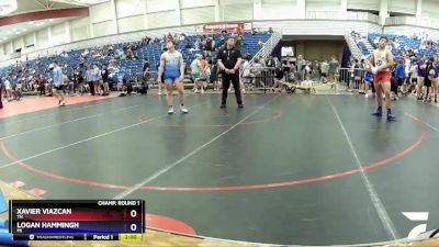 182 lbs Champ. Round 1 - Xavier Viazcan, TN vs Logan Hammingh, MI