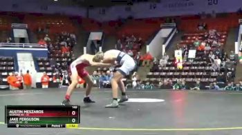 140 lbs Quarterfinals (8 Team) - Jake Ferguson, Dakota HS vs Austin Meszaros, Bedford HS