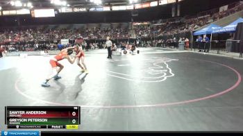 98 lbs Champ. Round 2 - Greyson Peterson, Madison vs Sawyer Anderson, Highland