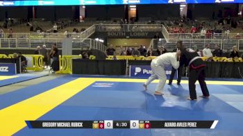 Alvaro Aviles Perez vs GREGORY MICHEL JOPHE 2025 Pan Jiu Jitsu IBJJF Championship