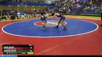 132 lbs Semis & 1st Wb (8 Team) - Carson Collis, Fannin County HS vs Gage Adams, Haralson County