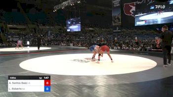 112 lbs Semis - Aneishka N. Santos Baez, US Territory vs Libby Roberts, Washington