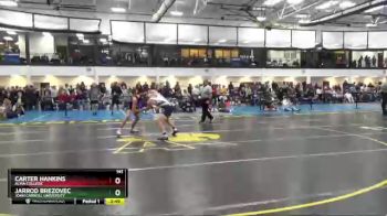 141 lbs Prelim - Carter Hankins, Alma College vs Jarrod Brezovec, John Carroll University