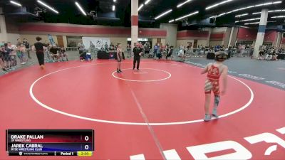 78 lbs Quarterfinal - Drake Pallan, 3F Wrestling vs Jarek Cabral, Ryse Wrestling Club