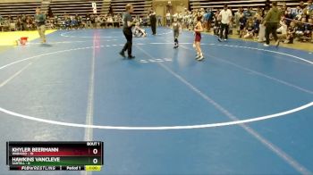 55 lbs Quarterfinals (8 Team) - Khyler Beermann, Wabasso vs Hawkins VanCleve, Sartell