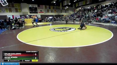 132 lbs Champ. Round 3 - Peter Bowen, Los Gatos vs Dylan Guillermo, Palm Desert