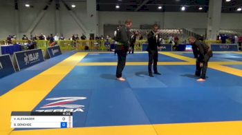 VIKTOR ALEXANDER vs BRIAN DONOHOE 2018 American National IBJJF Jiu-Jitsu Championship | Grappling