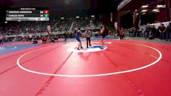 130 lbs Champ. Round 1 - Carlee Roth, Thunder Basin vs Addison Anderson, Kemmerer