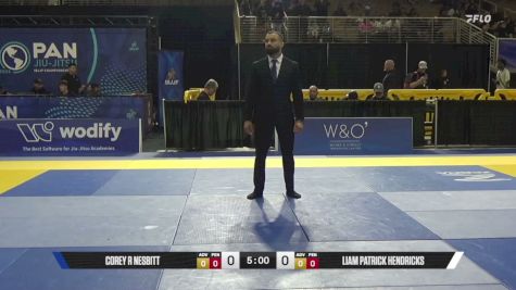 Liam Patrick Hendricks vs Corey R Nesbitt 2026 Pan Jiu Jitsu IBJJF Championship