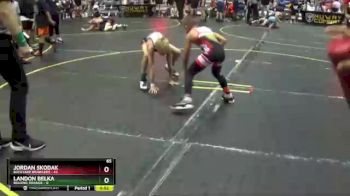 65 lbs Round 4 (6 Team) - Landon Belka, Belding Orange vs Jordan Skodak, Backyard Brawlers
