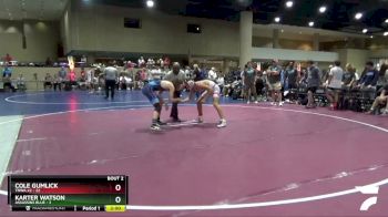 138 lbs Round 1 (6 Team) - Cole Gumlick, TNWA #2 vs Karter Watson, Assassins Blue