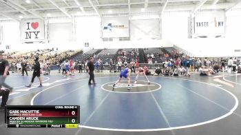 102 lbs Cons. Round 4 - Camden Aruck, Webster Schroeder Warriors You Wrestling vs Gabe MacVittie, Clarence Wrestling Club