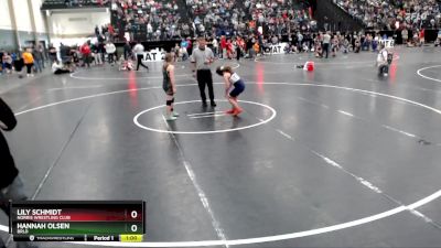 87-92 lbs Round 2 - Hannah Olsen, BRLD vs Lily Schmidt, Norris Wrestling Club